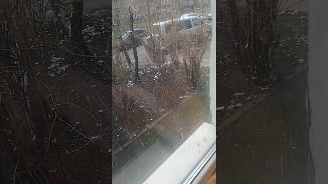 Погода в Луганске 19.03.2025