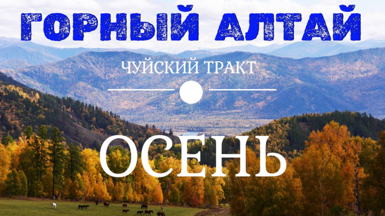 Стрим Горный Алтай I Осень