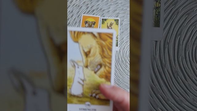 Карты Таро. Карта дня