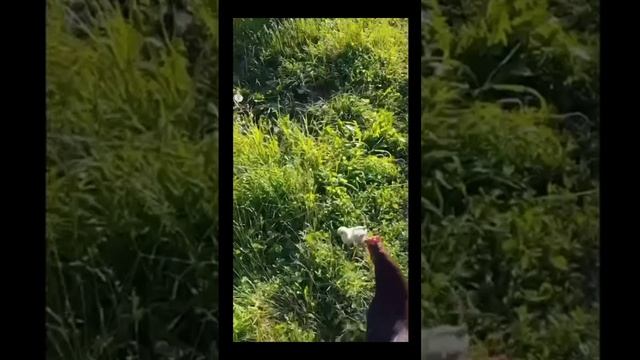 Отдых в Грузии! Организуем отдых по маршрутам