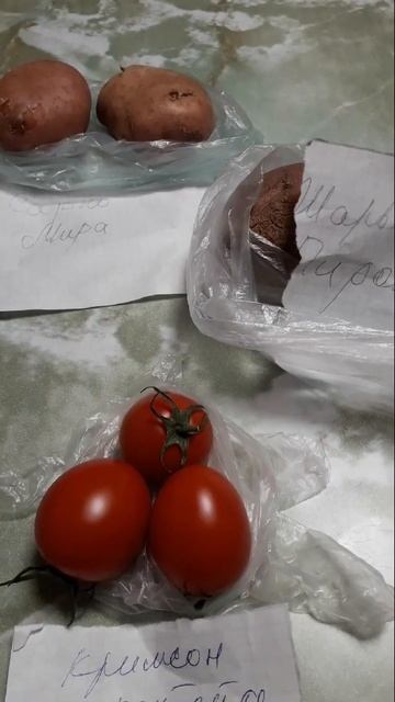 Спасибо Ютубу и друзьям, которые появились благодаря ему и опять про Сарпо Мира Shorts
