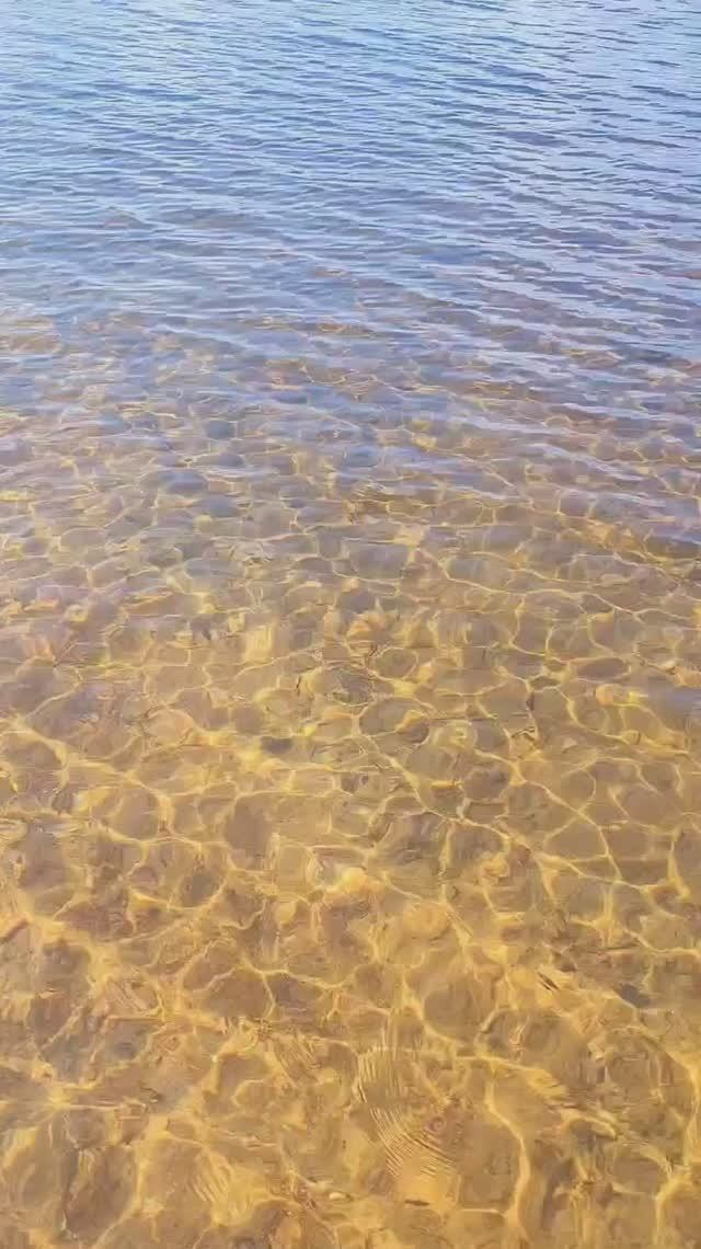 Карелия 2024. Озеро Ала-Лаваярви. Июль 2024г (Часть 6)