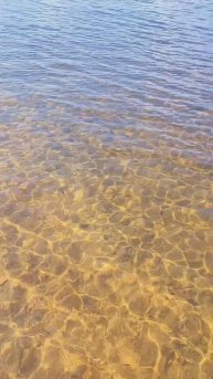 Карелия 2024. Озеро Ала-Лаваярви. Июль 2024г (Часть 6)