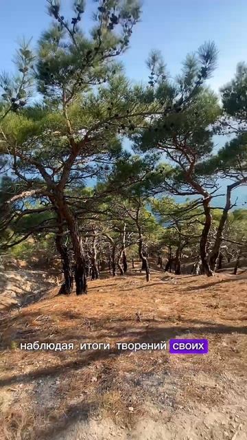 Как важно свободу выбора осознавать в каждом дне,что есть у тебя 🙌