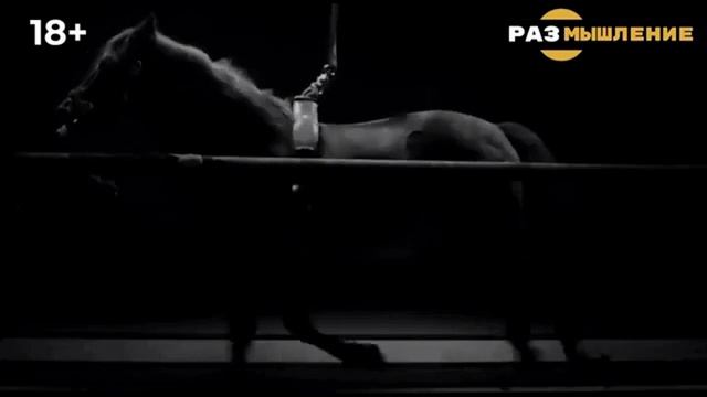 ПОРАЗМЫШЛЯЕМ О БУДУЩЕМ...