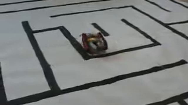 golabirint.flv
