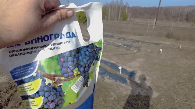 Весенние внесение удобрений и перекопка в молодом саду Ирги Ольхолистной.