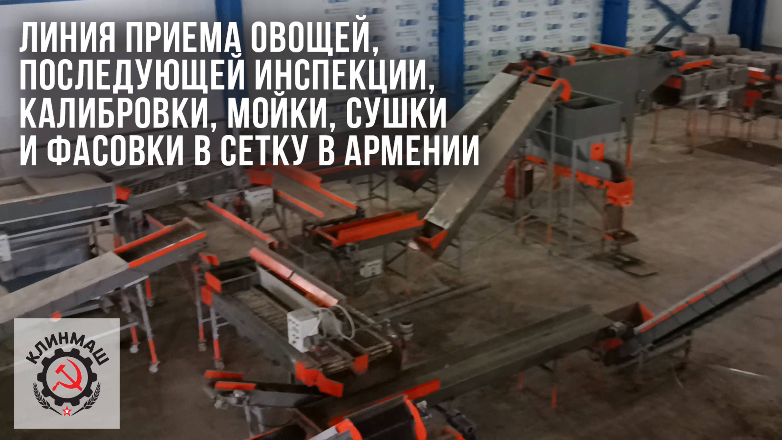 Линия приема овощей, последующей инспекции, калибровки, мойки, сушки и фасовки в сетку в Армении