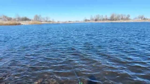 Ловлю рыбу в марте,на реке прямой эфир!#карась #карась_на_фидер #fishing