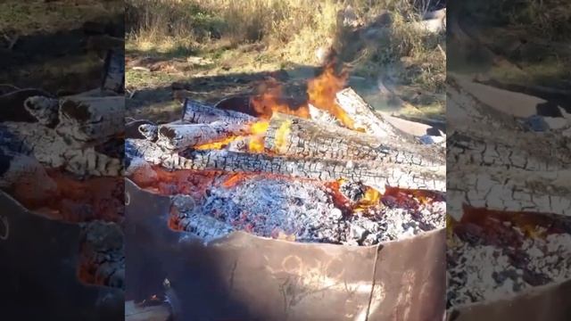Biochar From Logging Slash