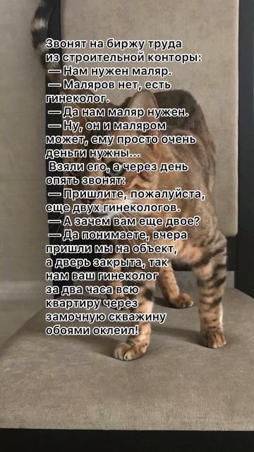 Маляр 🤣 #анекдоты #анекдоткороткий #анекдототкожаного