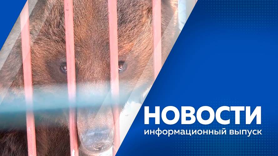 Новости 18.03.2025г
