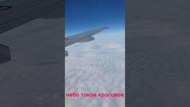 ак Россия рейс Удачный Красноярск