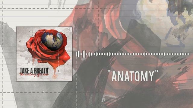 Take A Breath - Anatomy