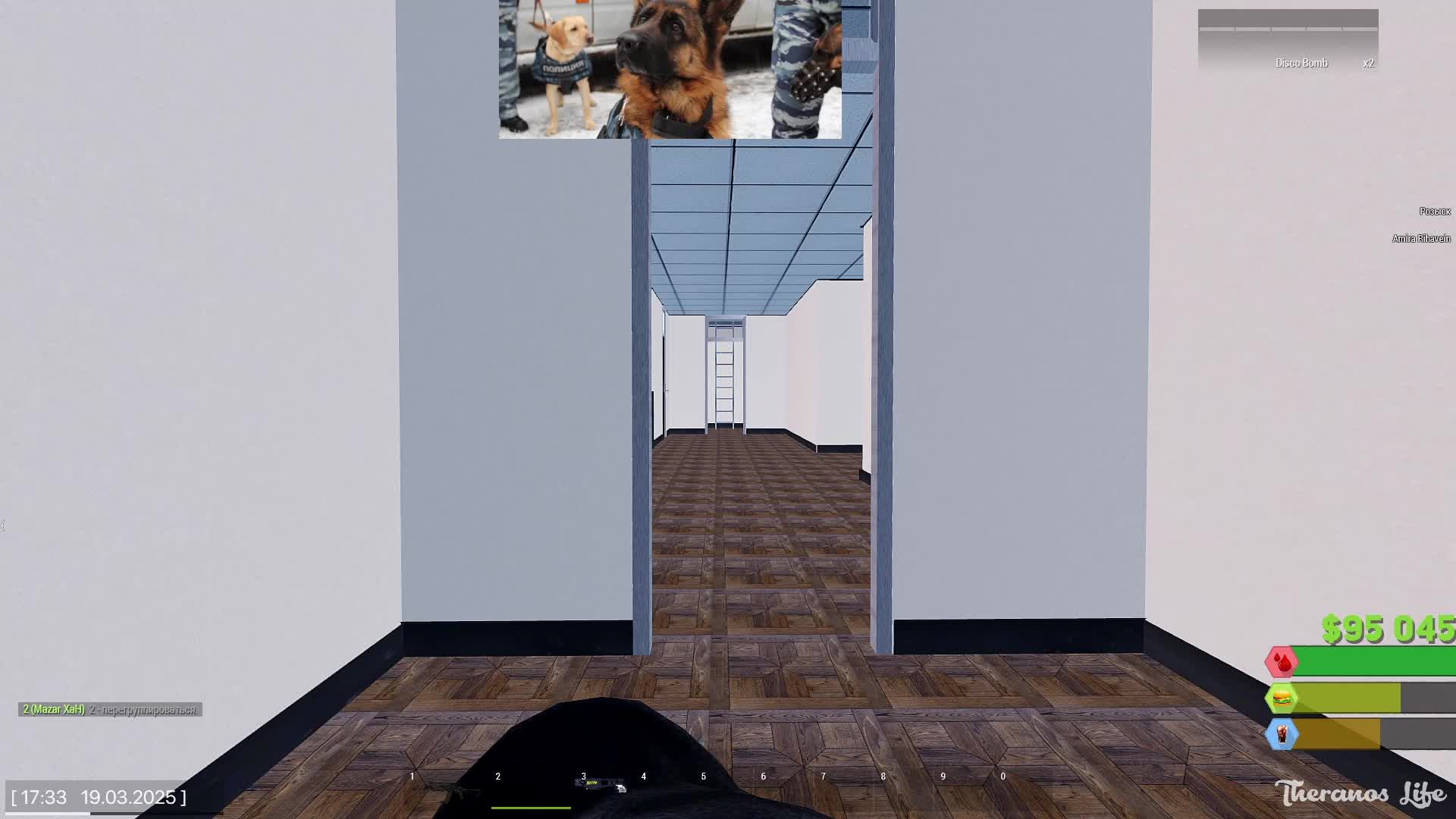 Arma 3 Теранус служба в МВД