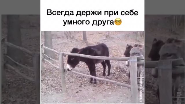 То, что доступно ослу, пока не мозгам, через жопу пашущему  человечеству. Уже 11-е тысячелетие!!!!!