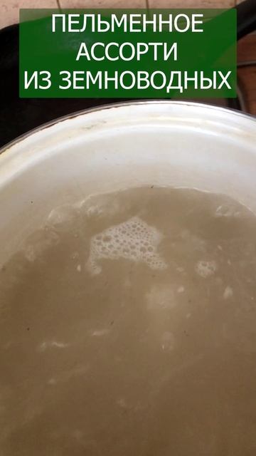 Не лягушки и не крабы, а пельмени в форме жабы 🐸🦀🐊