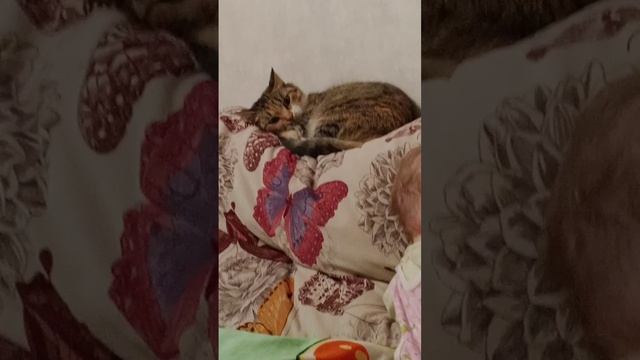 пришли с прогулки