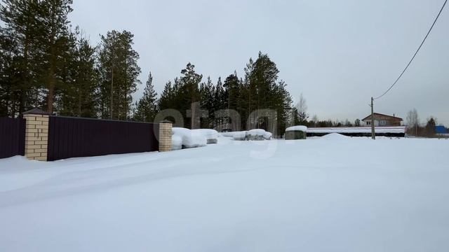 №5778420 , ДНТ Алтай