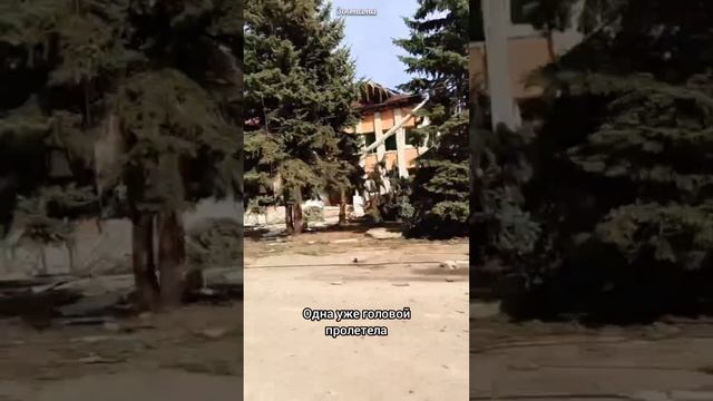 Курское приграничье. До спасения доживают не все