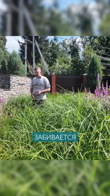 НЕ СТРОЙ биоплато в своем пруду!