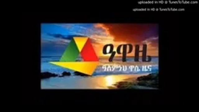 የኢትዮጵያ አየር መንገድ 737 mAX 8 ጥቁር ሳጥኑ BLACK BOX  ወደ ሌላ ሐገር ሊላክ ነዉ ETHIOPIA AIR LINS CRASHD IN BLACK BOX