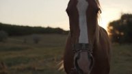 Horse breeding carefully February 2022