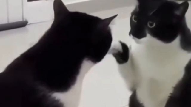 Любовь к себе