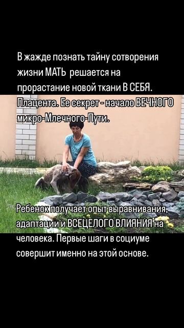Материнство
