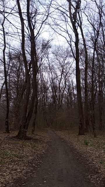 20.03.2025 #сегоднятак #сегодня #природа #nature #oggicosì #бүгін #oggi #hoy #今日 #today #오늘 #자연 #自然