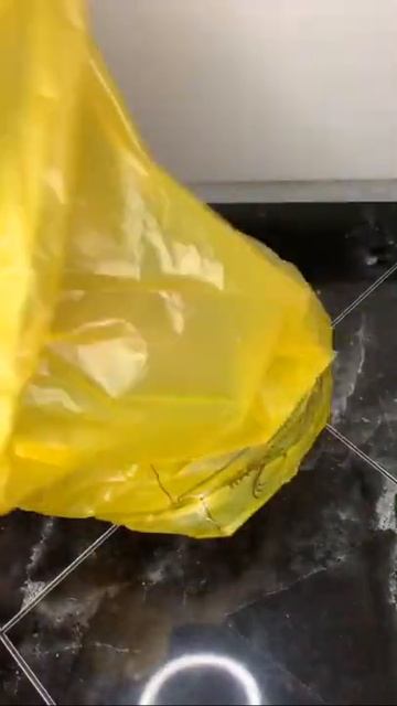 Быстро поменяйте пакет в мусорном ведре