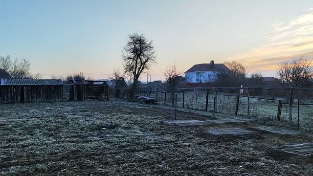 Наш домик 19.03.2025