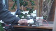 Starting and running an OS MAX H 40 engine.