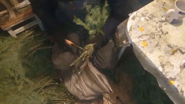 делаем односторонние веники из пихты