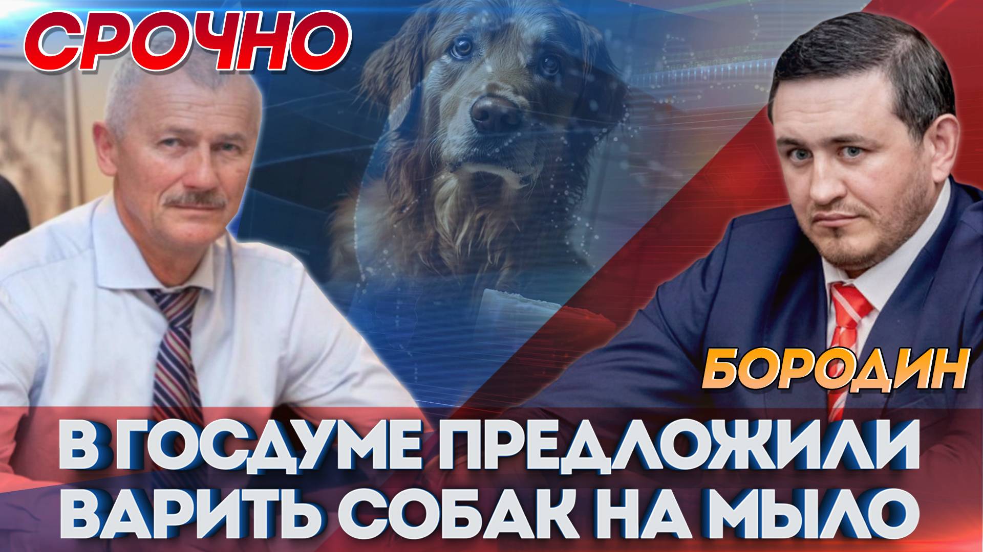 Бородин Срочно : В Госдуме предложили варить собак на мыло