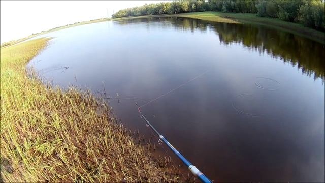 Щука на каждом забросе.Рыбалка в ХМАО