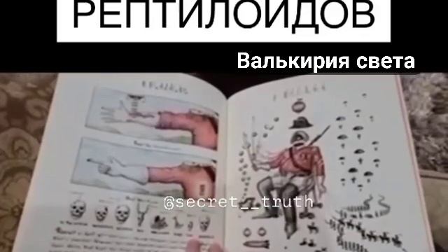 VID_20241025_000458_963.mp4