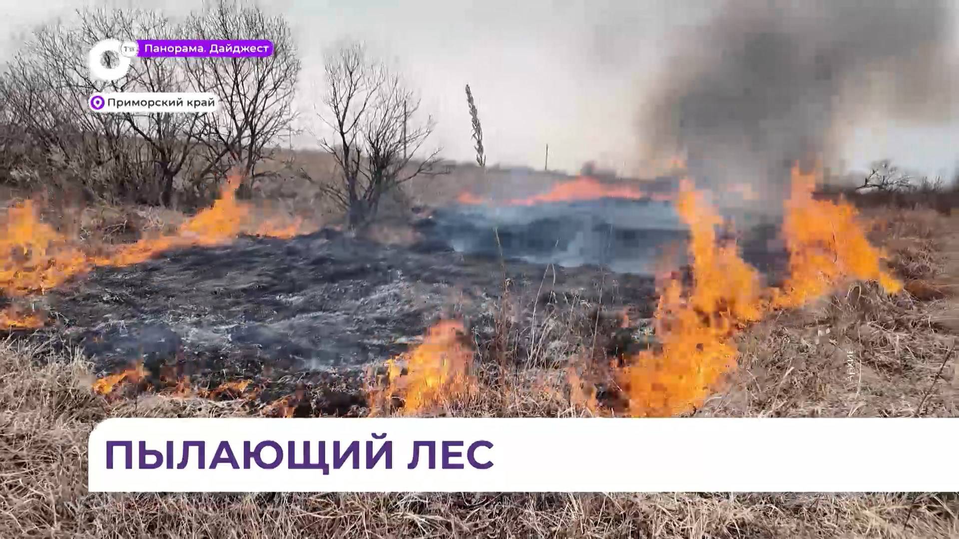 В Приморье за прошедшие сутки ликвидировано 12 природных пожаров