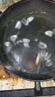 как сварить вербу