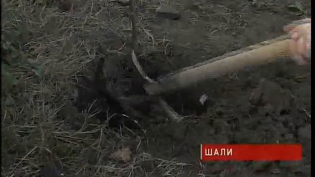 г Грозный Б К  СЮЖЕТ