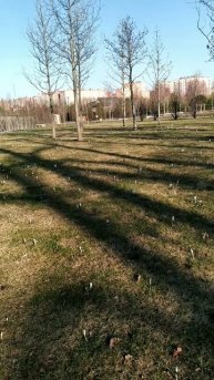 Краснодар 20.03.25 температура воздуха утром