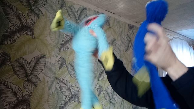 1000113978.гулубой и синий хагги