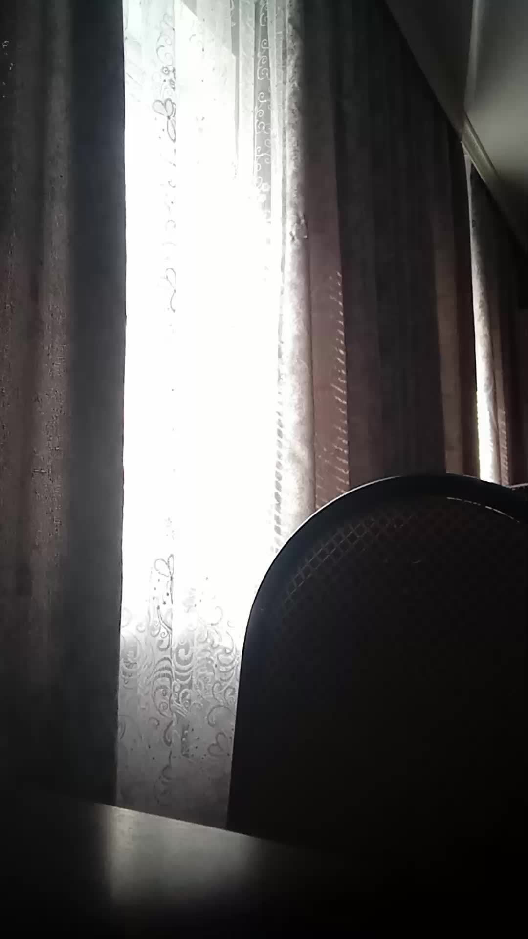 личная жизнь моя и моего кота