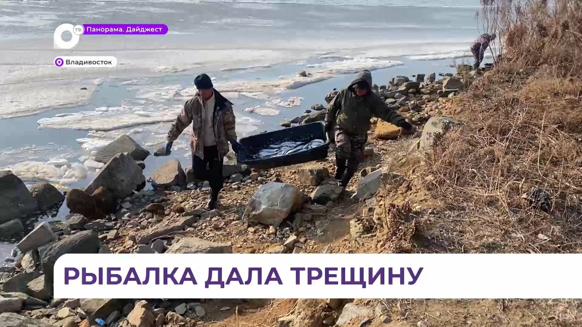 Подошедшая к берегу Владивостока сельдь продолжает манить азартных рыбаков