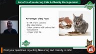 Webinar #20: Benefits of Neutering Cats And Obesity Management