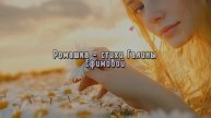РОМАШКА