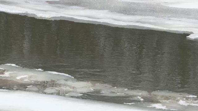 Противопаводковые учения в Червишево