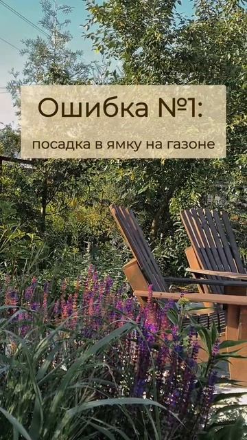 🤔3 грубые ошибки при посадке кустарников.