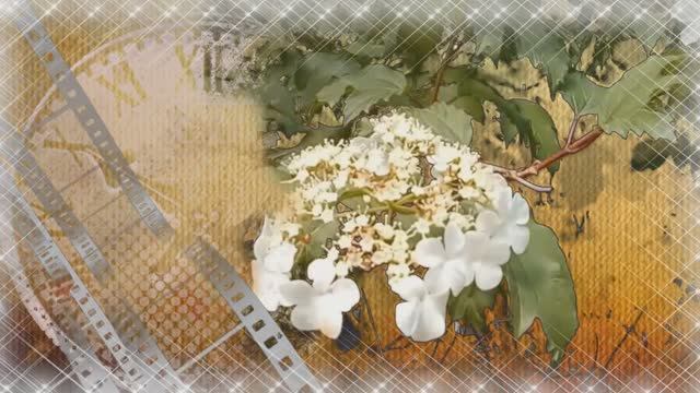 Память