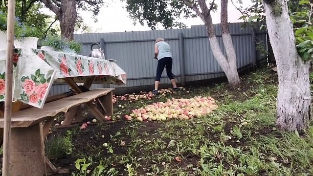 Приехали домой// Схватились за голову//